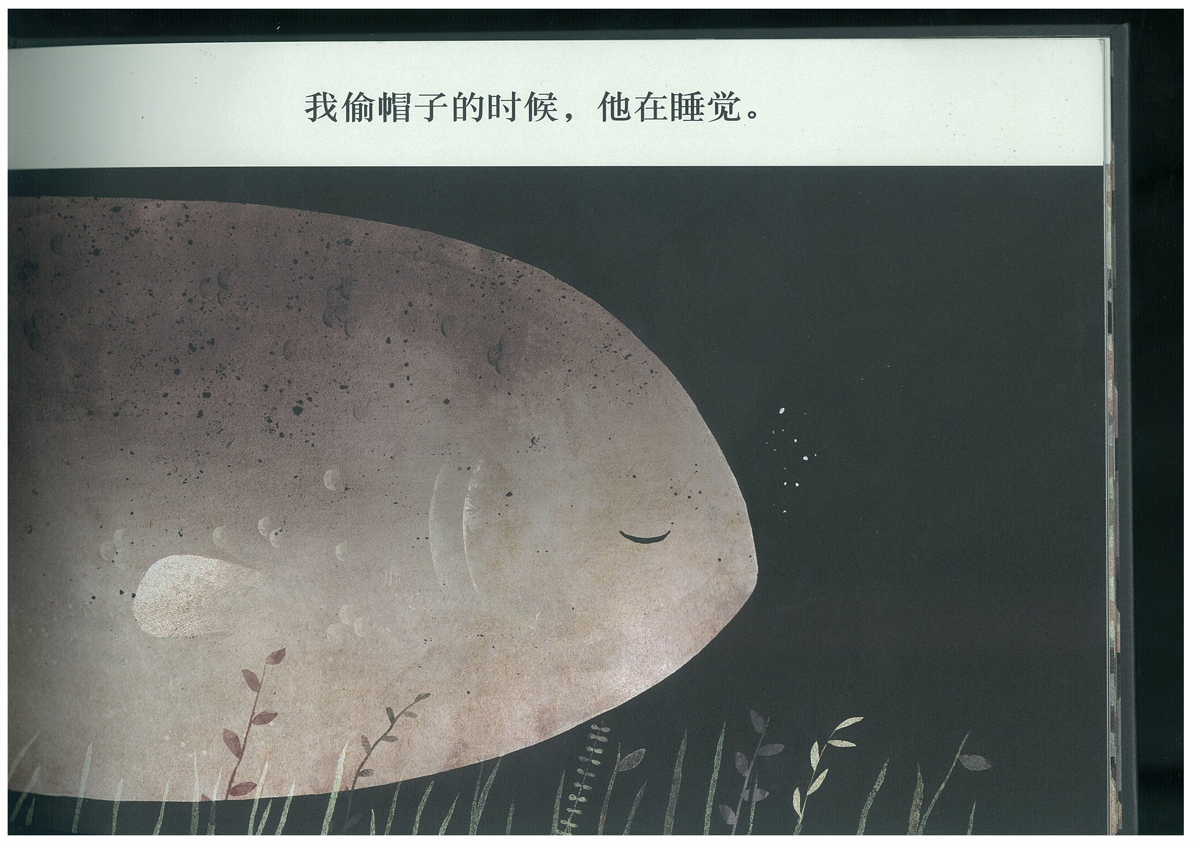 这不是我的帽子 (09),绘本,绘本故事,绘本阅读,故事书,童书,图画书,课外阅读